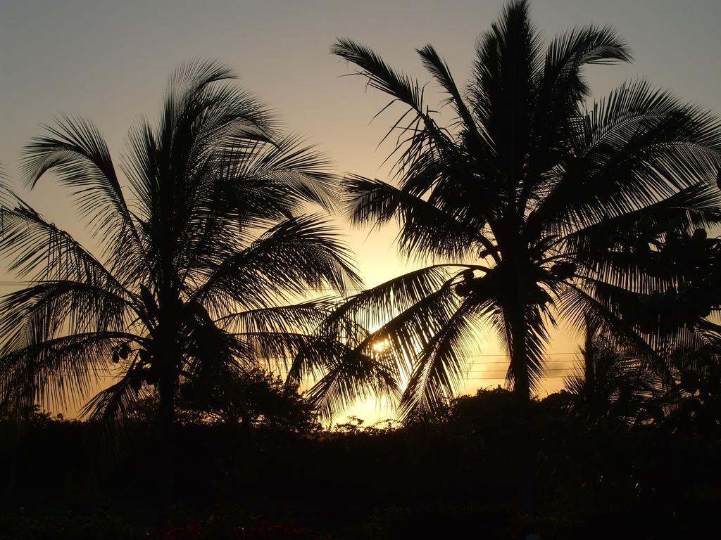 Flamingo Villas Resort Malindi Ngoại thất bức ảnh