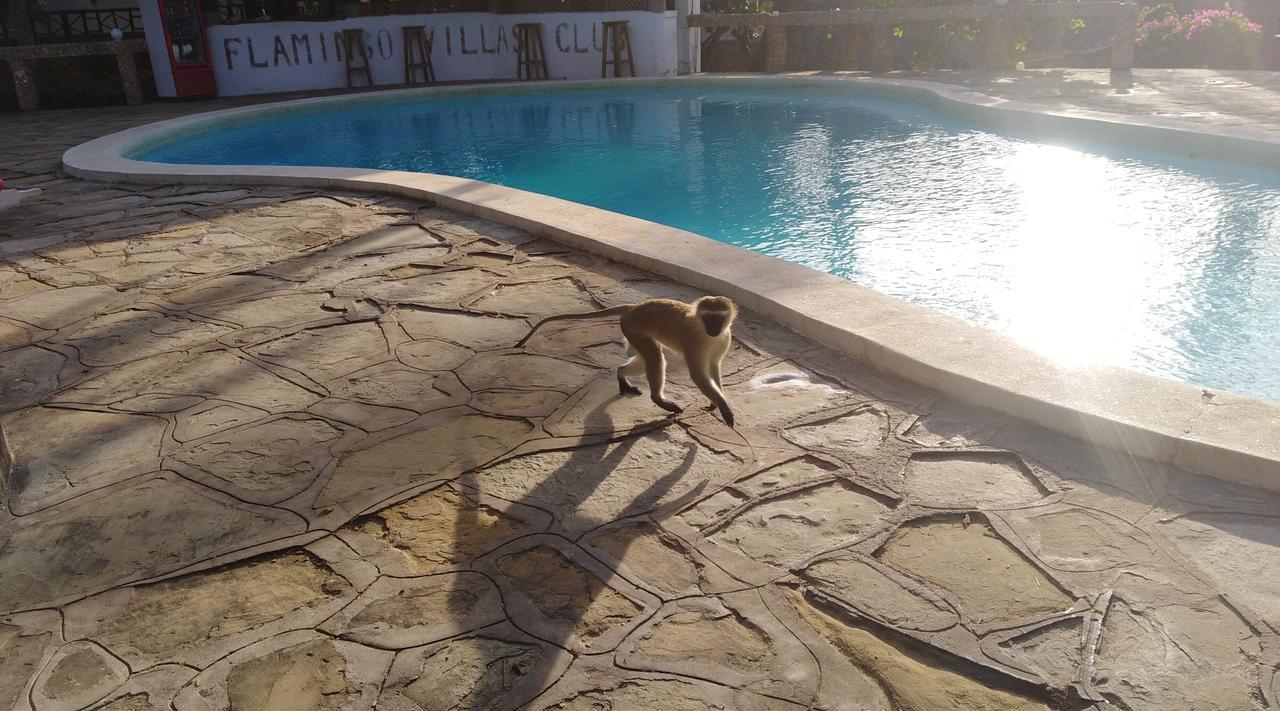 Flamingo Villas Resort Malindi Ngoại thất bức ảnh
