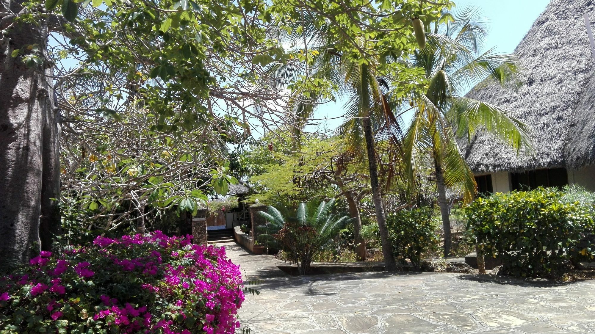 Flamingo Villas Resort Malindi Ngoại thất bức ảnh